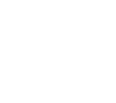 NSS